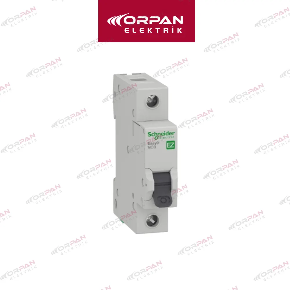 Easy9 - Otomatik Sigortalar (EZ9F43120)